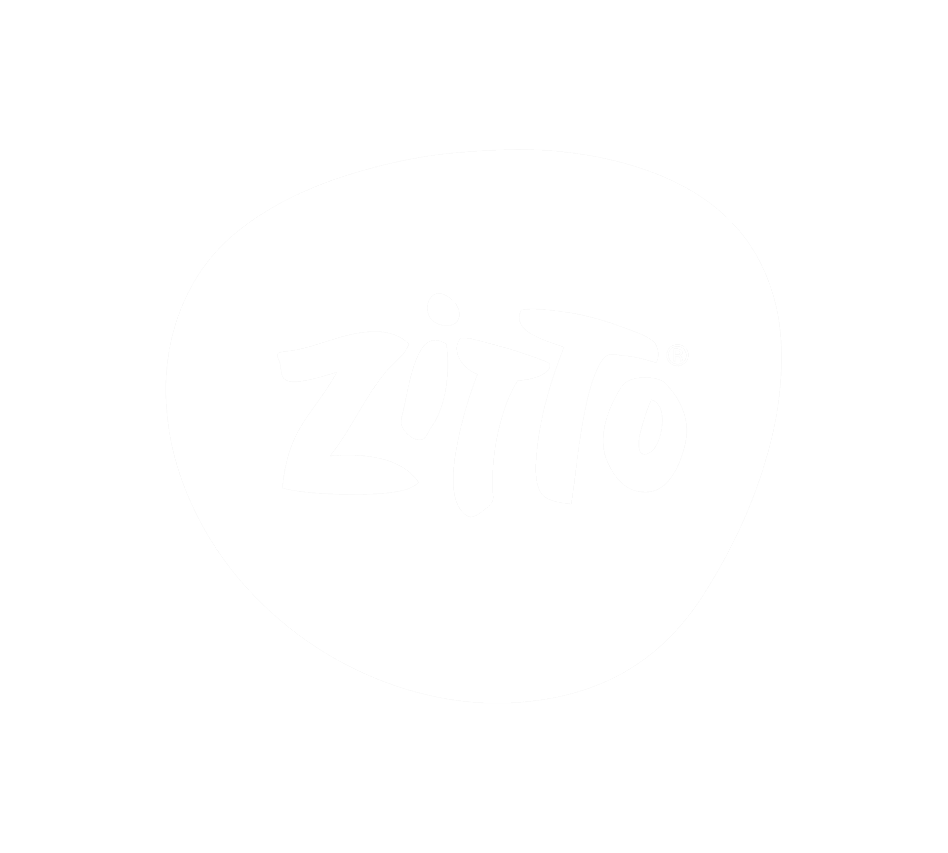 Logo with stylized text 'zitto' inside a white oval shape on a gray background.
