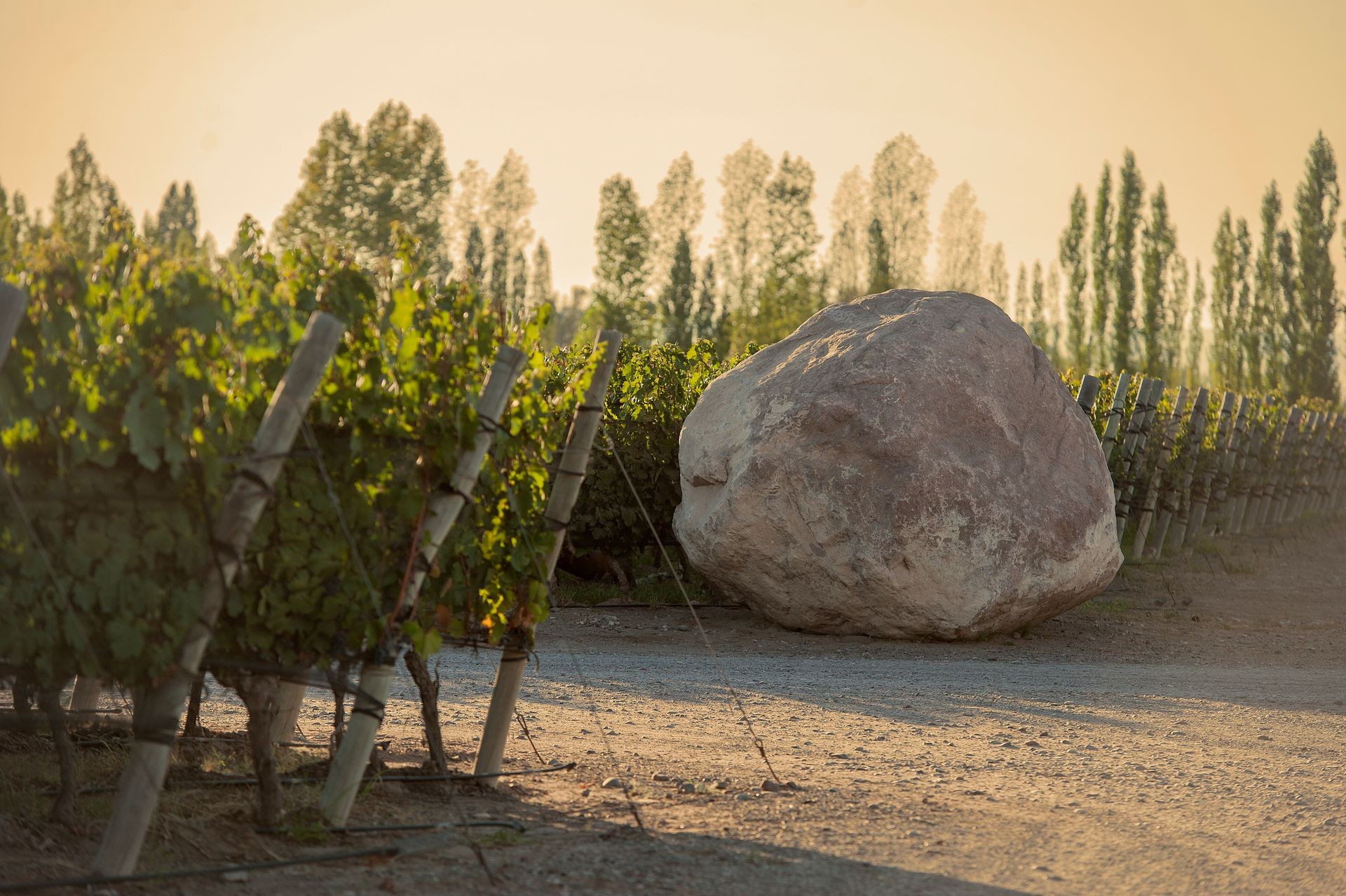 Piedra Infinita Cocina 