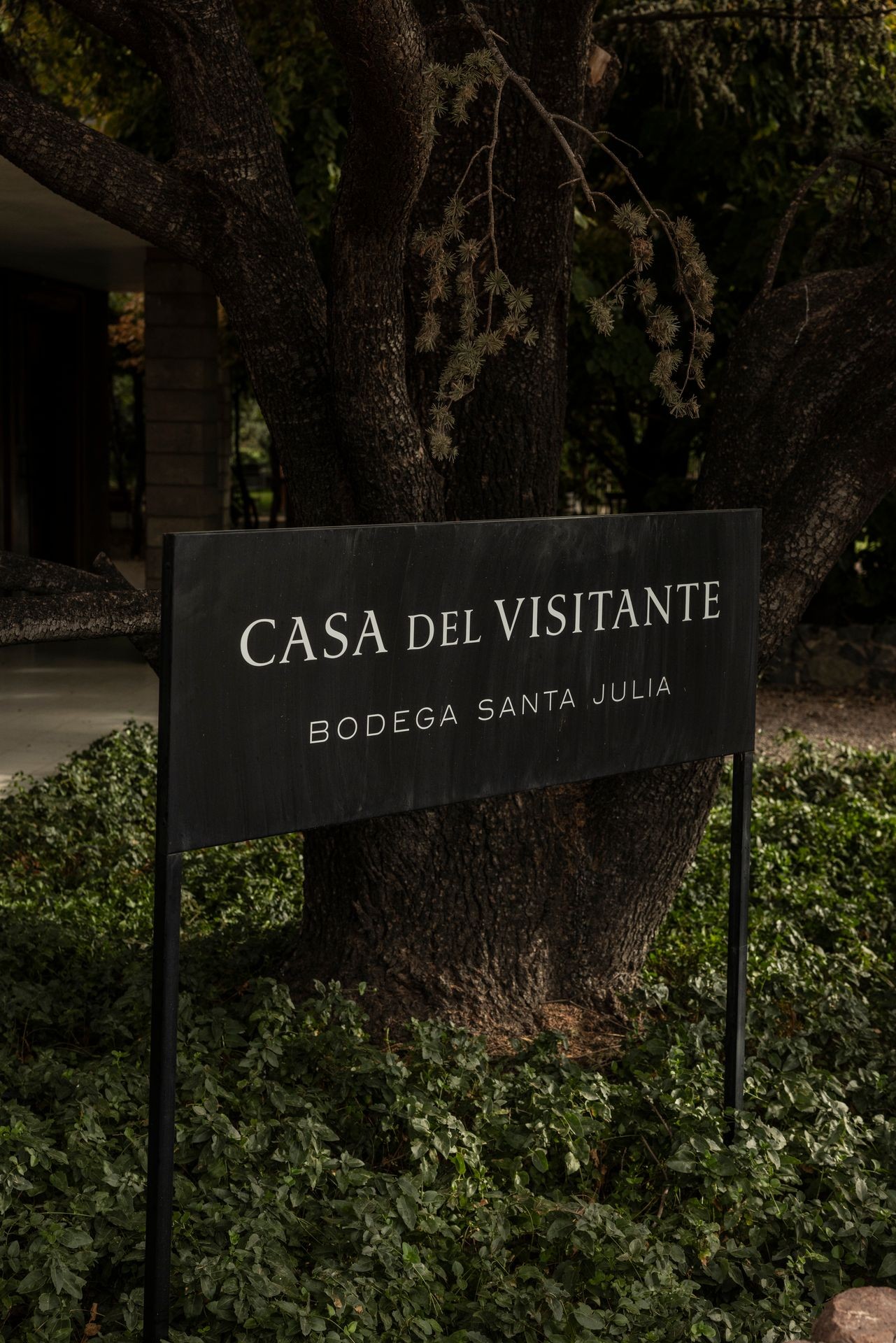 Información General