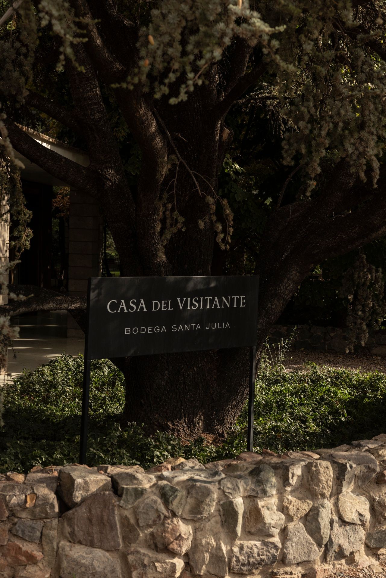 Información General