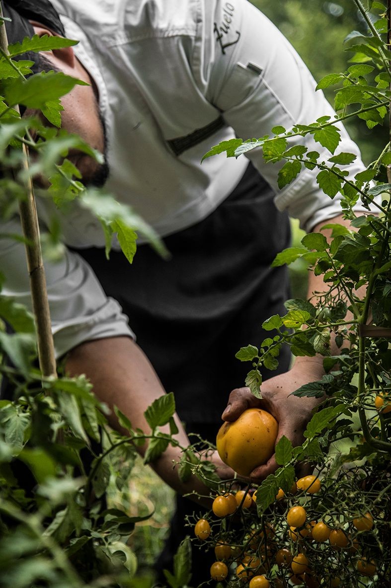 Menú Especial Estacional
