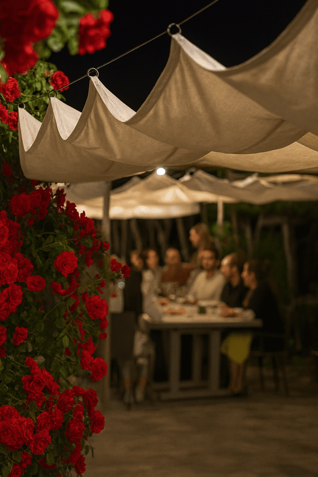 Verano: Cena a la carta
