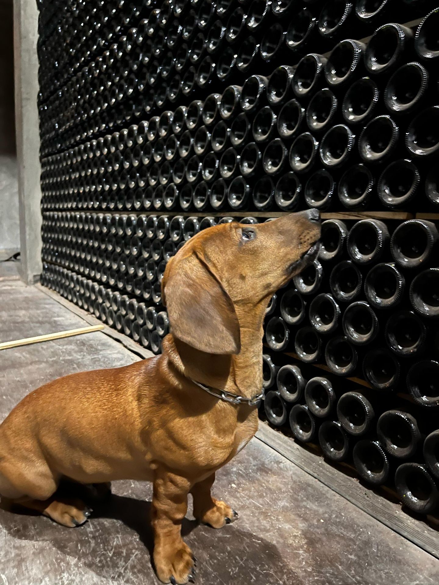 Combinaciones imperdibles