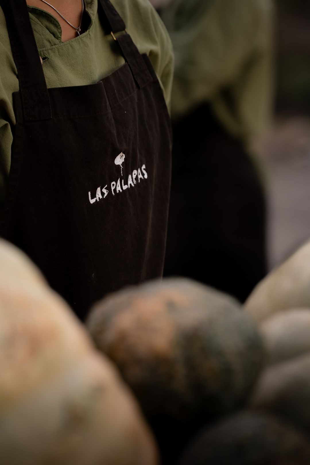 Que ofrecemos en "Las Palapas"