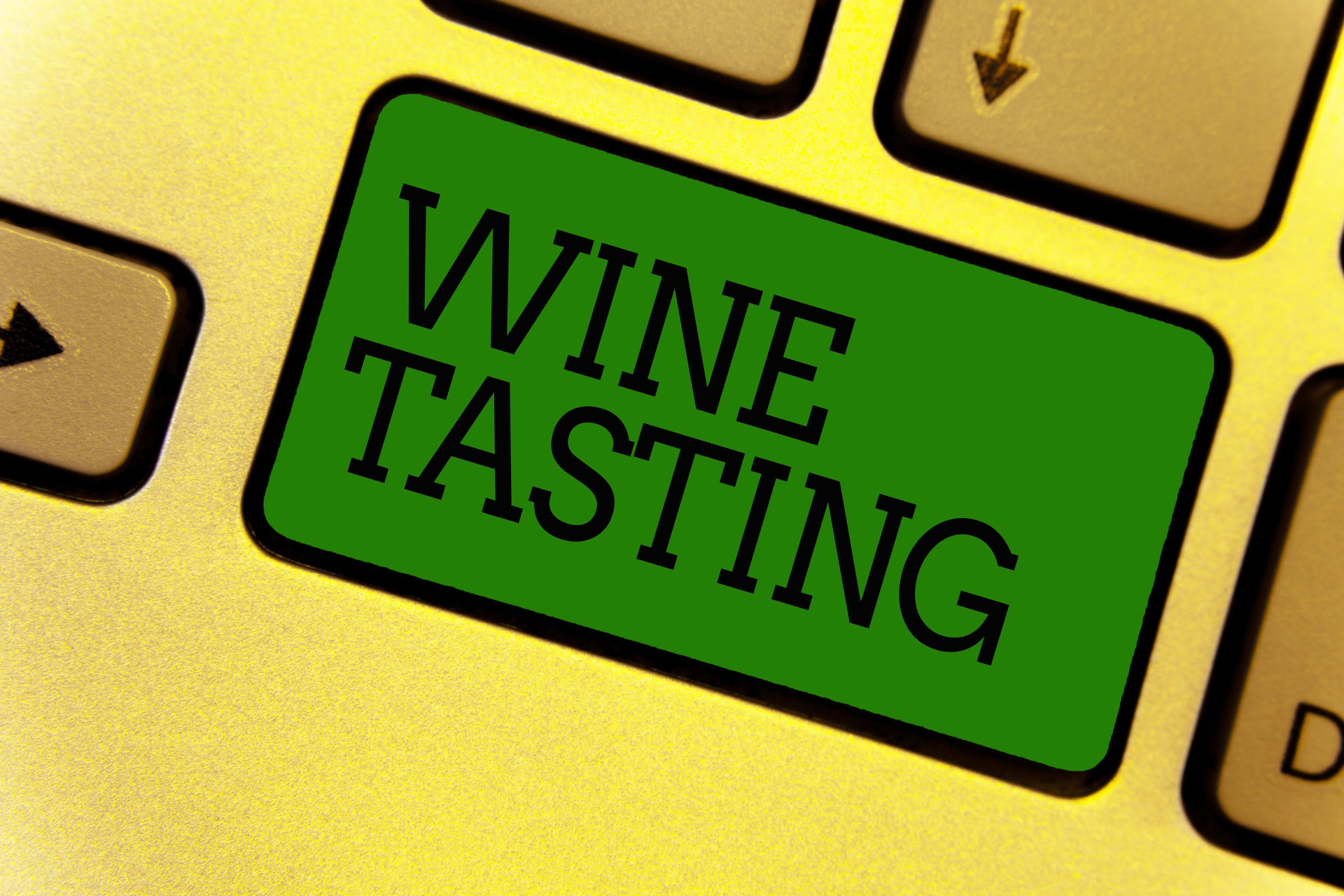 Parte conceptual escrito mostrando la cata de vinos. Texto de la foto de negocios degustación Alcohol Social encuentro Gourmet bodega beber teclado verde crear computadoras informática documento de reflexión.